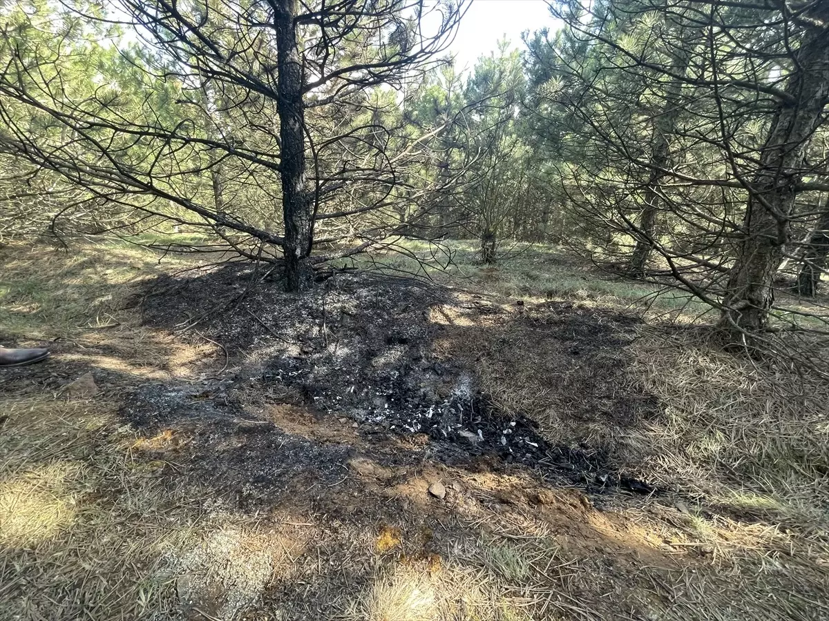30 Yaşındaki Kadının Yanmış Cesedi Bulundu