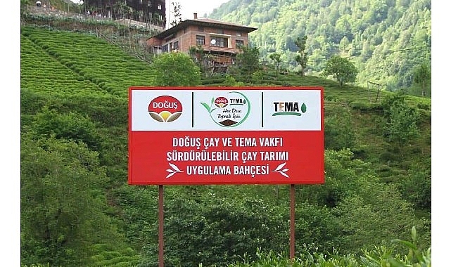 Doğuş Çay ve TEMA Vakfı’ndan sağlıklı topraklar ve sürdürülebilir çay tarımı için ortak adım