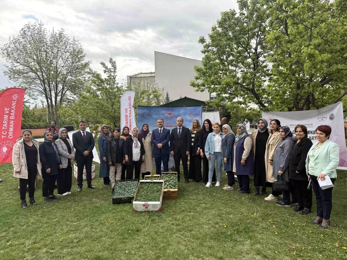 Kadın Çiftçilere Fide Dağıtımı Yapıldı