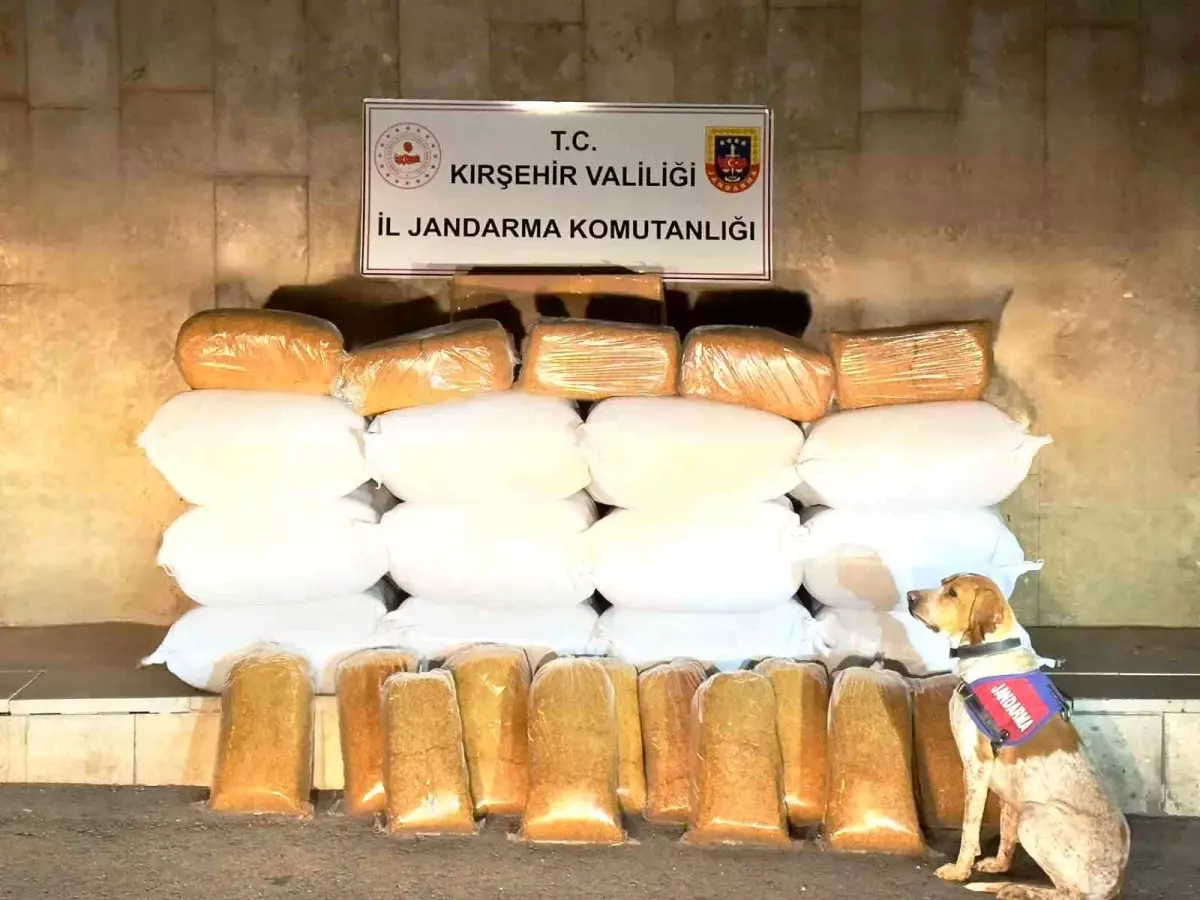 Kırşehir’de 633 Kilo Kaçak Tütün Ele Geçirildi