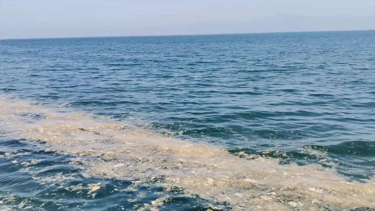 Mudanya’da Deniz Yüzeyinde Müsilaj