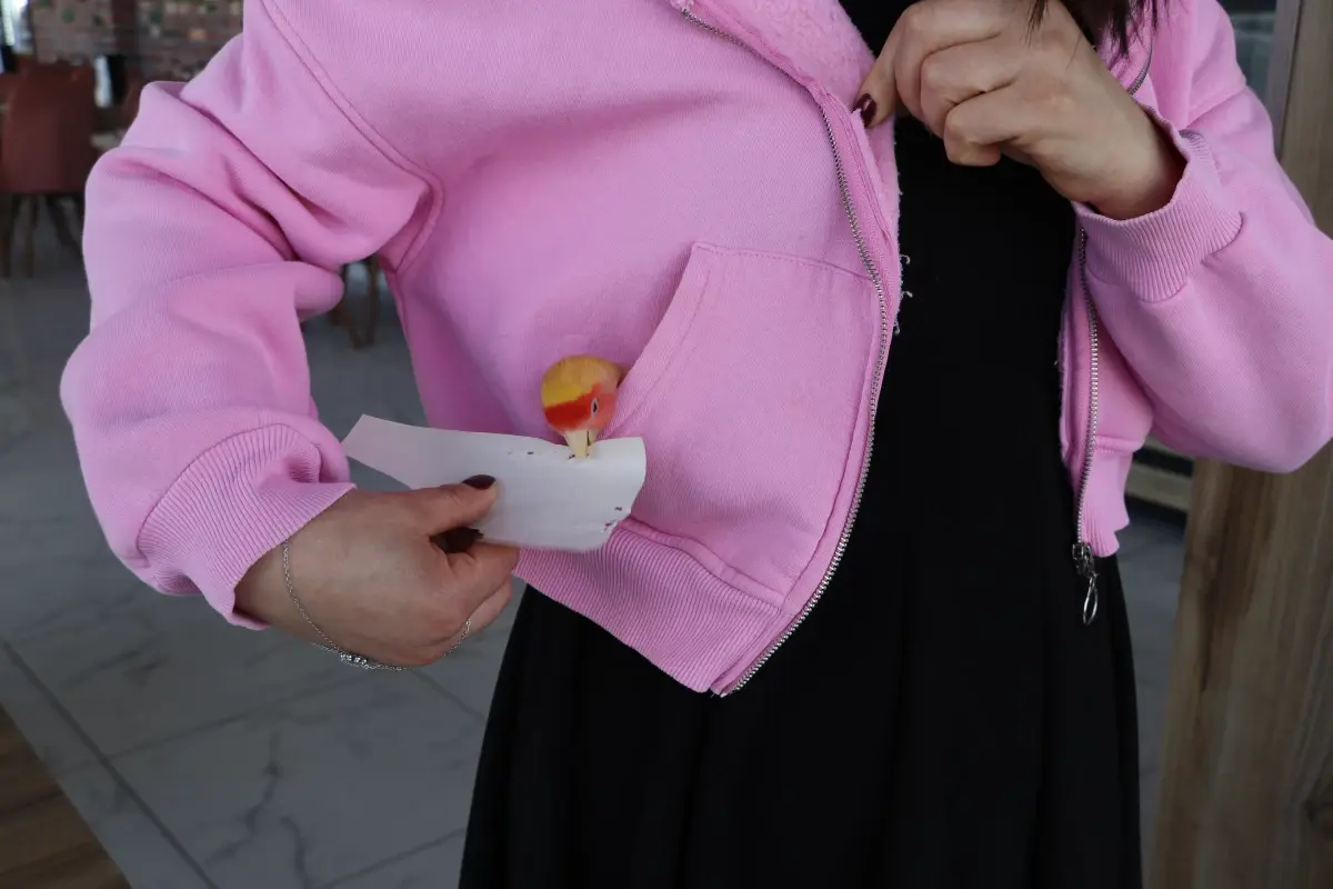 Papağan Limon’un Sevimli Hikayesi
