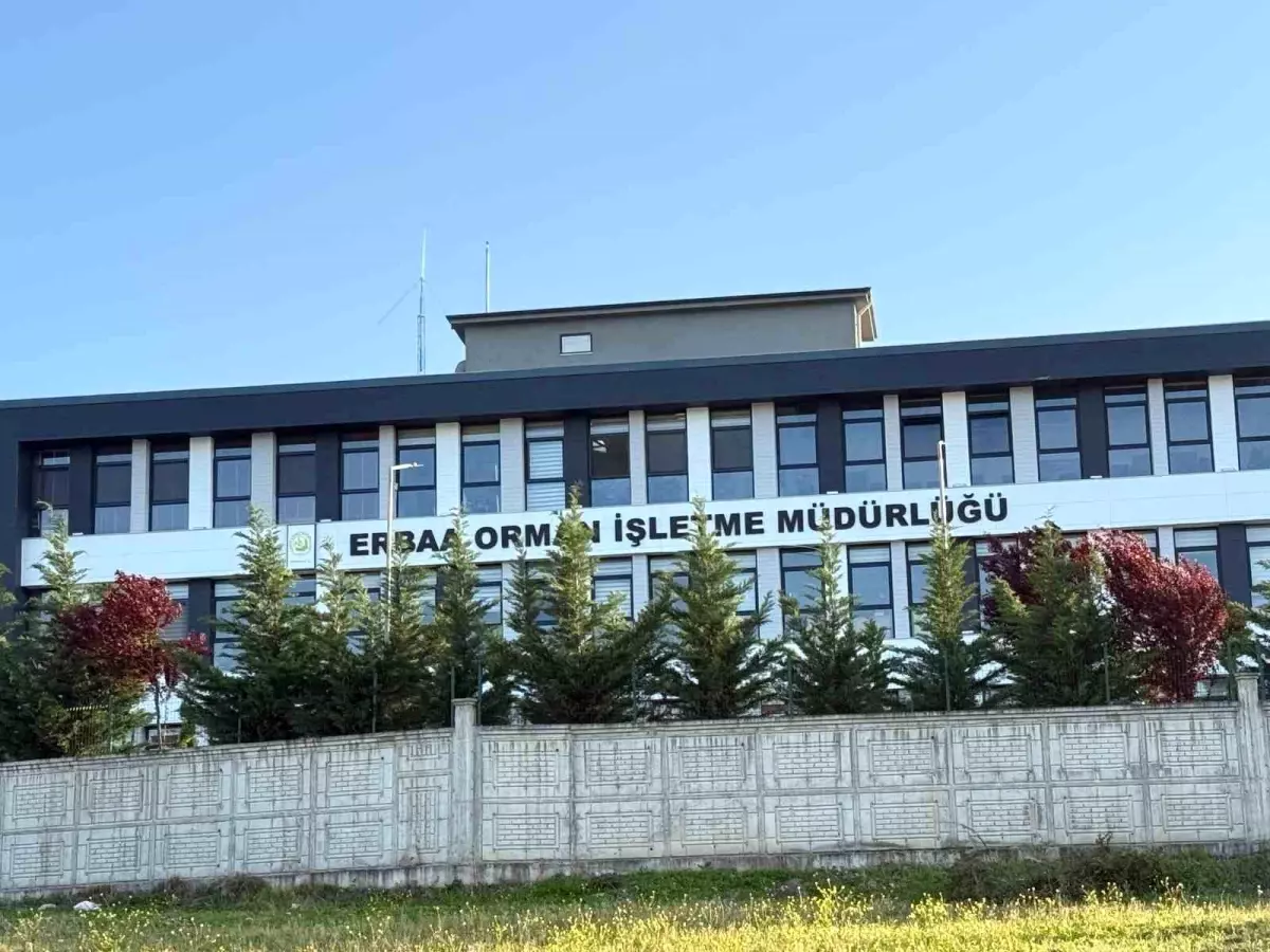 Tokat’ta Orman İhalelerinde Yolsuzluk Operasyonu
