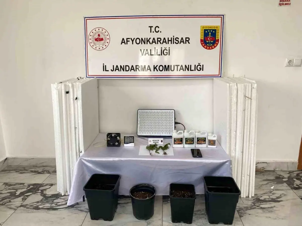 Uyuşturucu Yetiştiren Şahıs Yakalandı