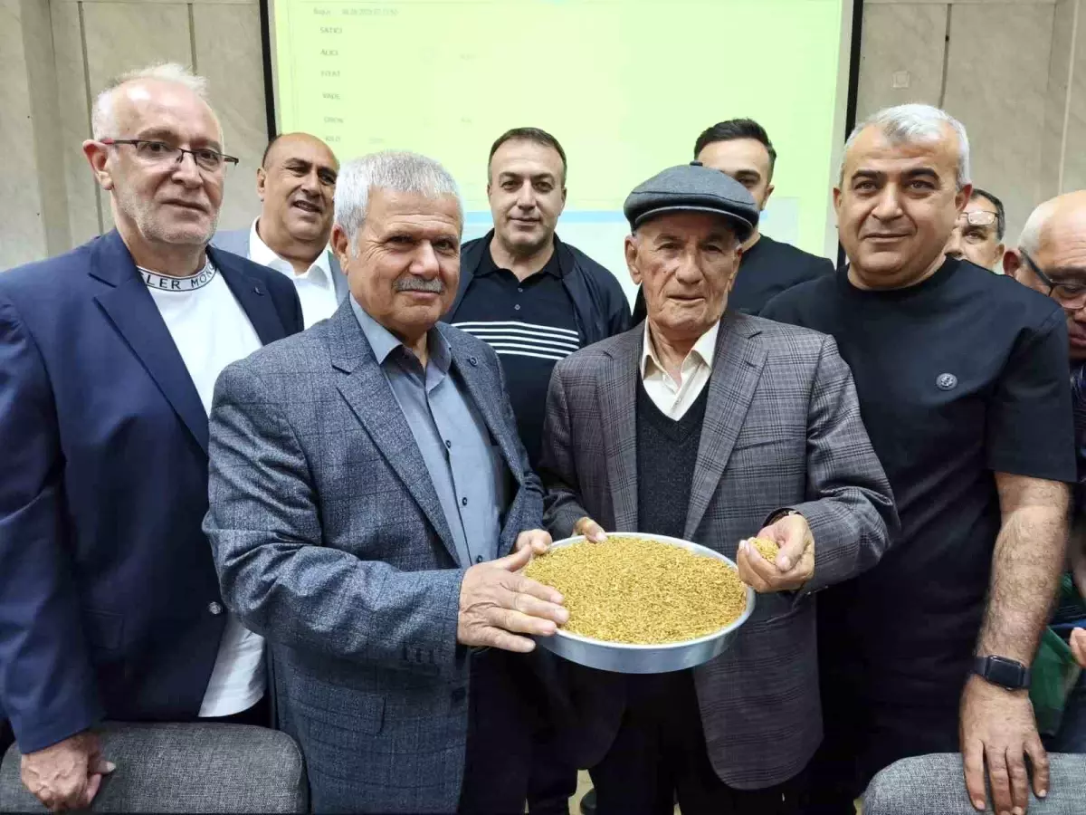 2025 Yılı İlk Buğdayı Satışta