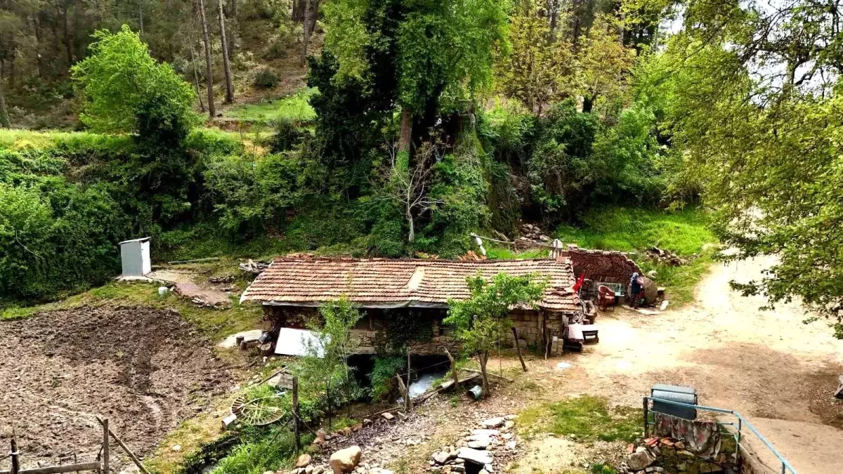 450 Yıllık Su Değirmeni Hala Aktif