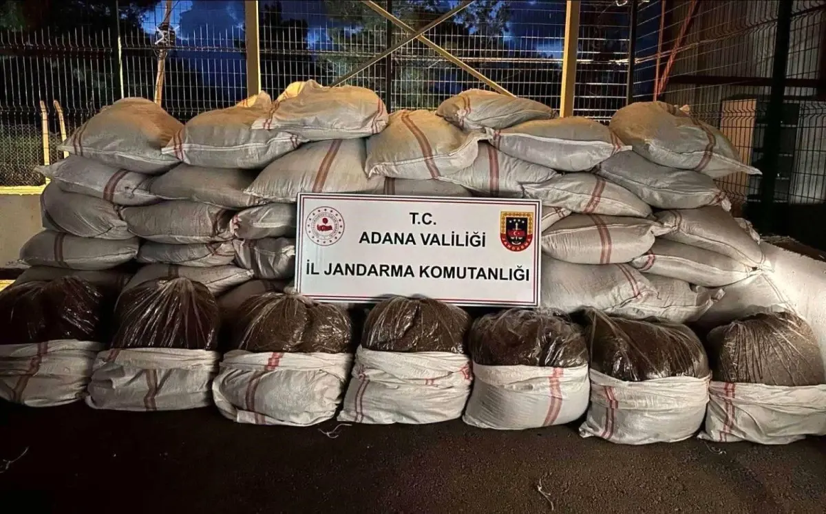 Adana’da 3 Ton Kaçak Tütün Ele Geçirildi