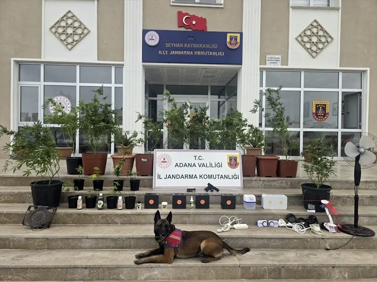 Adana’da Kenevir Yetiştiren 4 Zanlı Gözaltında