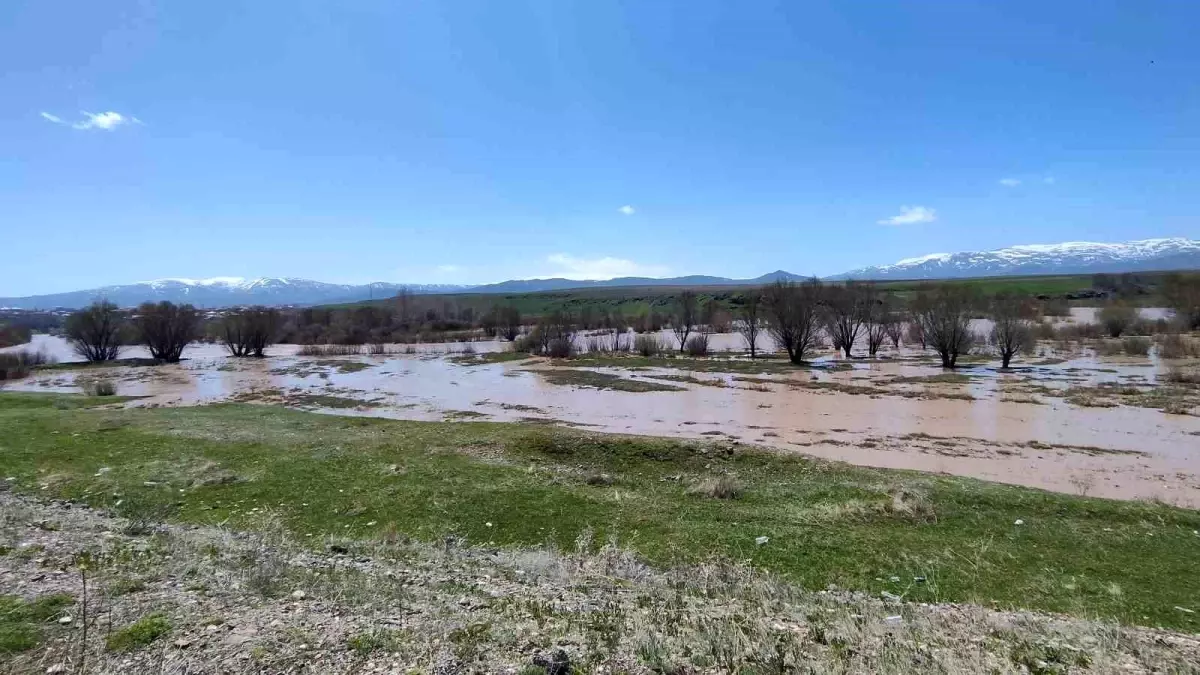 Ağrı’da Murat Nehri Taştı