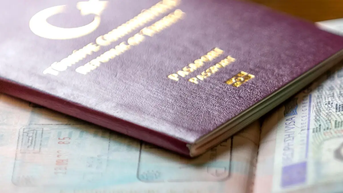 AP’den Türk Vatandaşları için Vize Kolaylığı Çağrısı