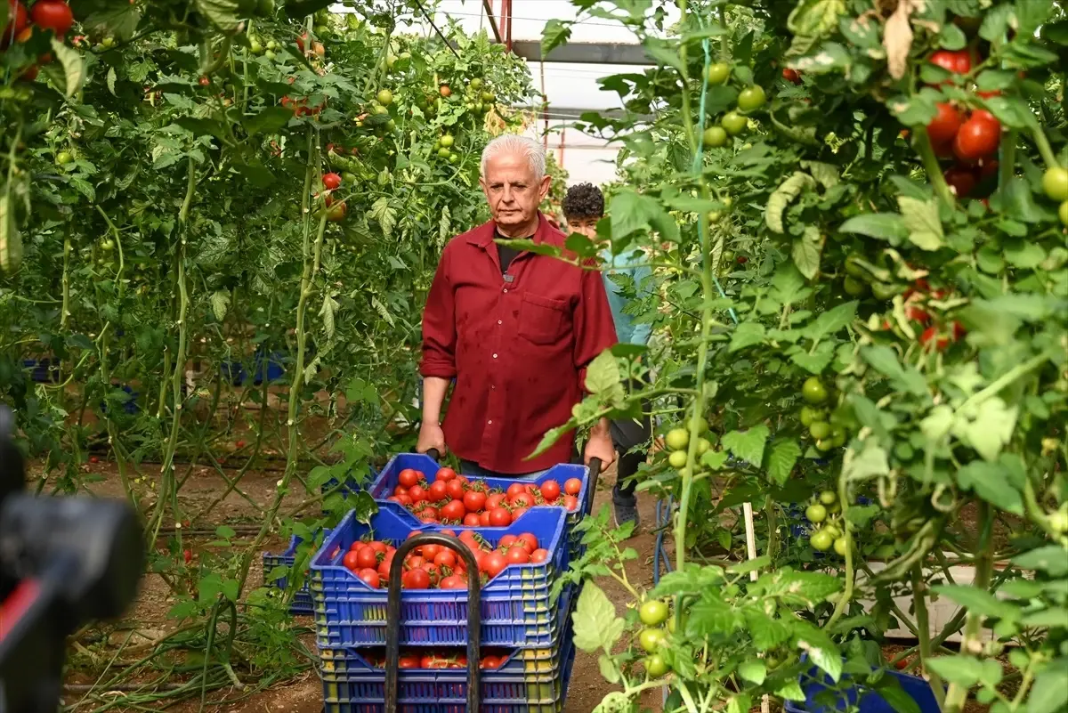 Başkan Duran, Serada İşçilerle Çalıştı
