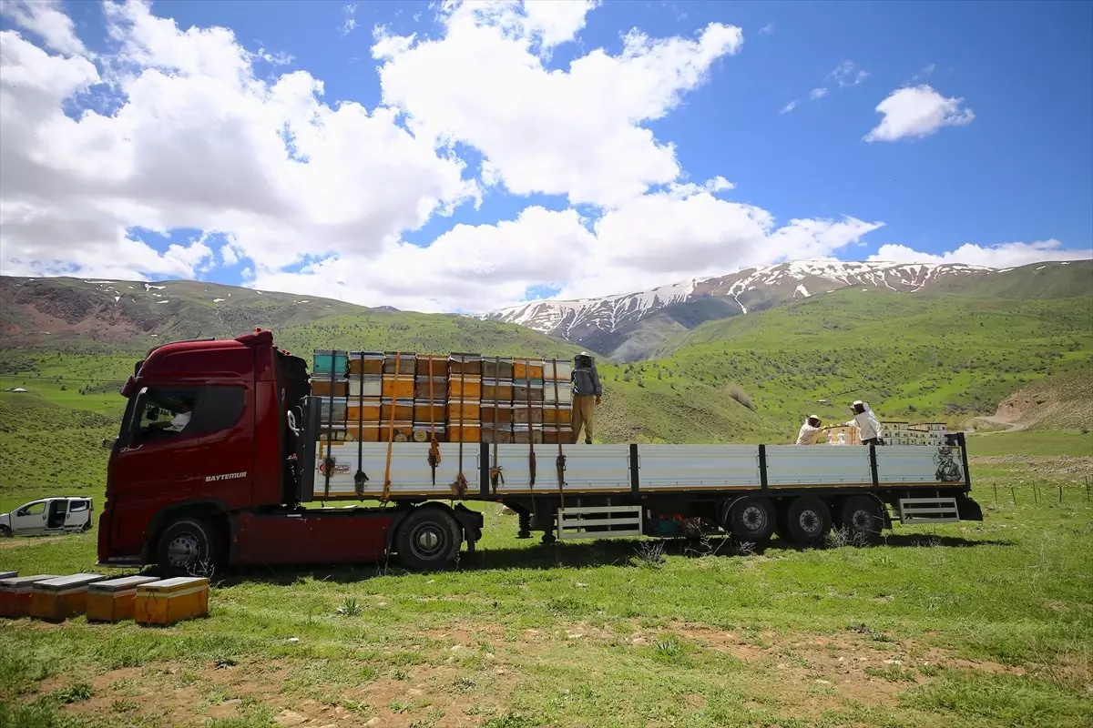 Bingöl Arıcıları İlkbahar İçin Dönüş Yolda