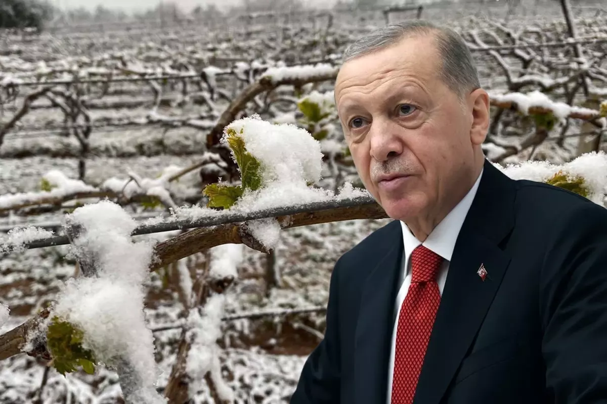 “Bu yıl sıkıntı yaşayacağız” diyen Cumhurbaşkanı Erdoğan, o ürünleri tek tek saydı