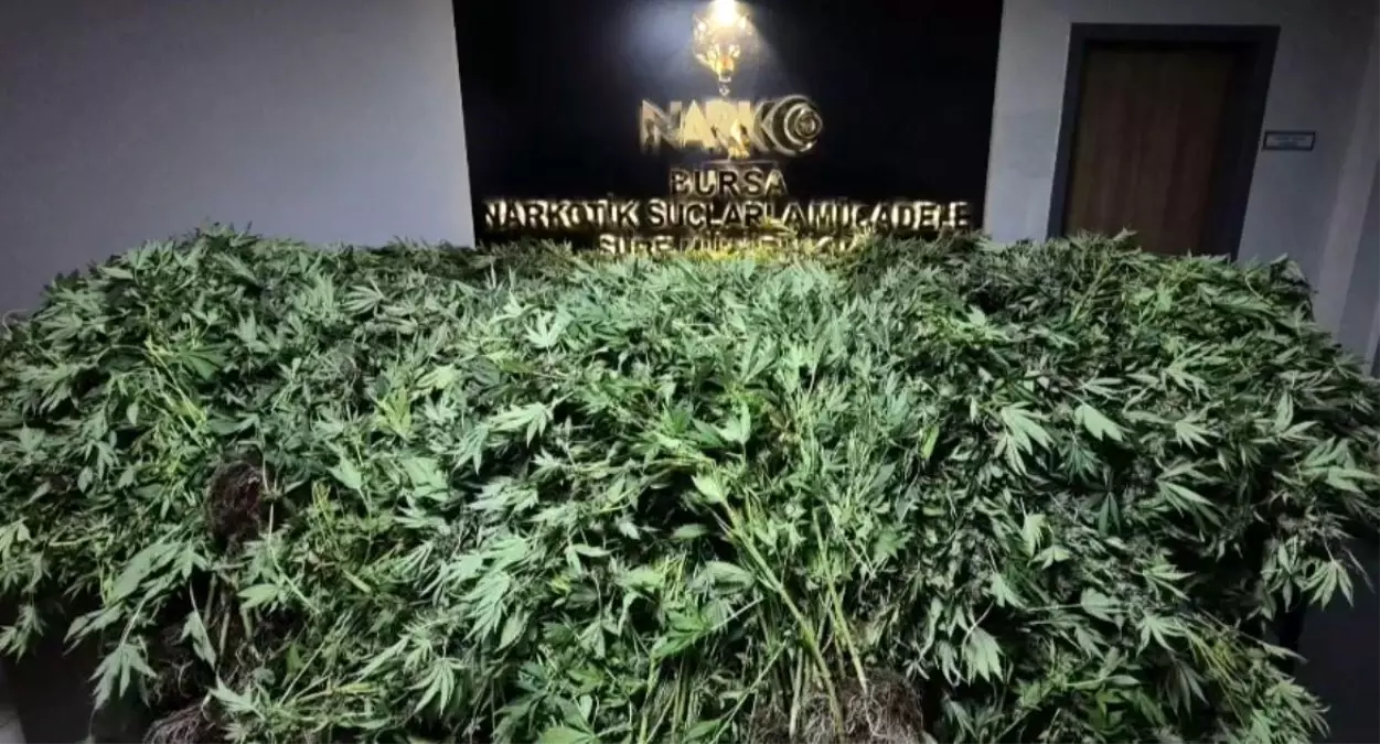 Bursa’da Uyuşturucu Operasyonu: 41 Gözaltı
