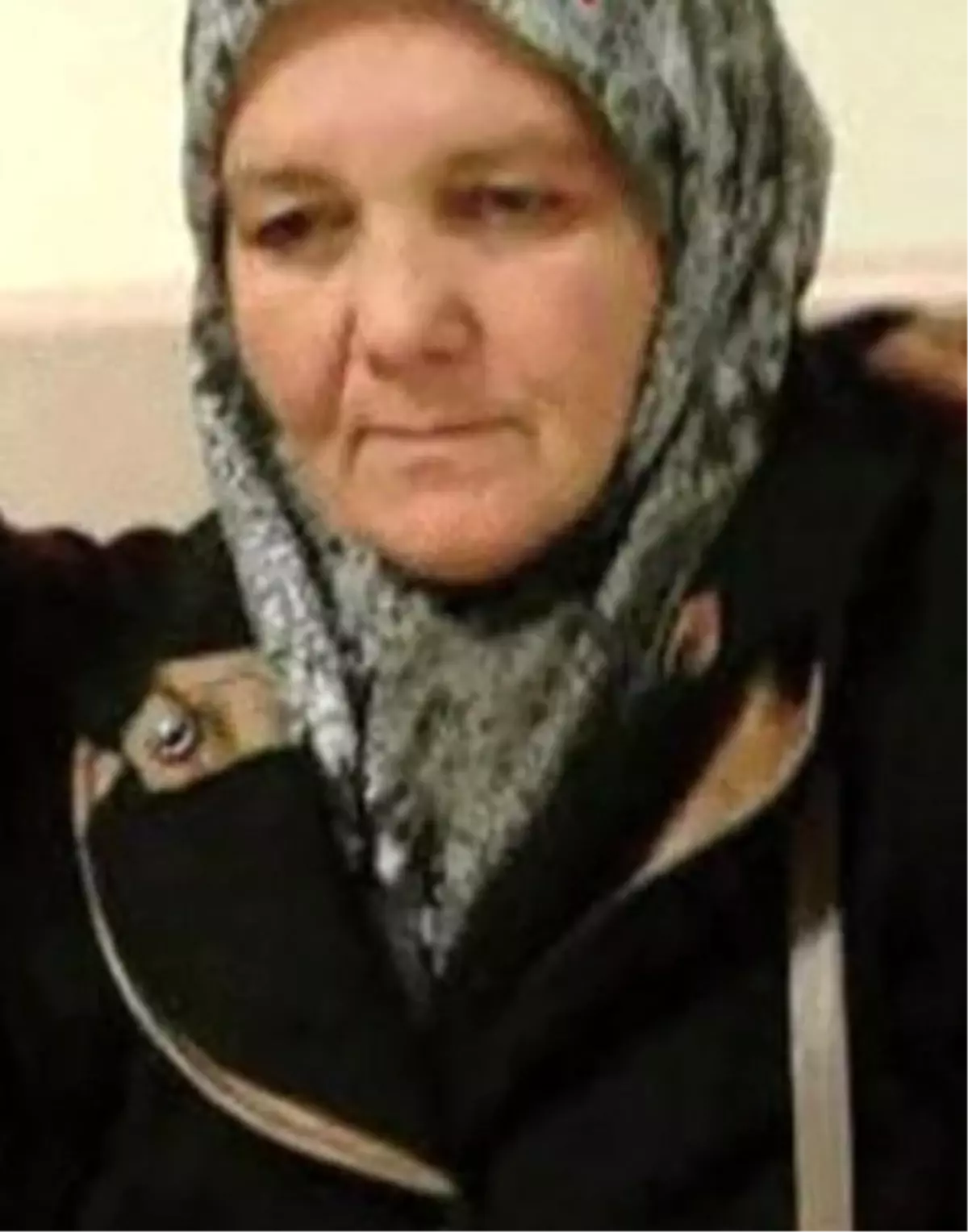 Çaybaşı’nda İntihar ve Eziyet Soruşturması