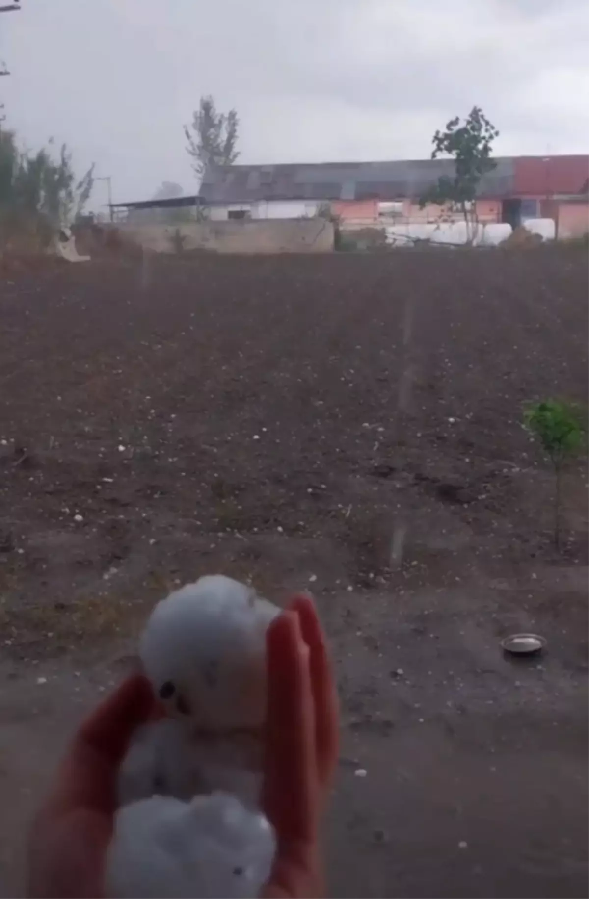 Ceyhan’da Dolu Tarım Arazilerini Vurdu