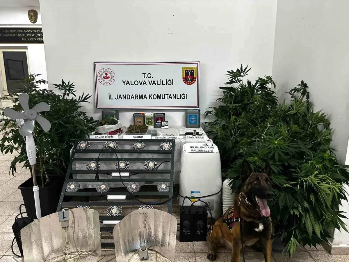 Çınarcık’ta Uyuşturucu Düzenek Operasyonu