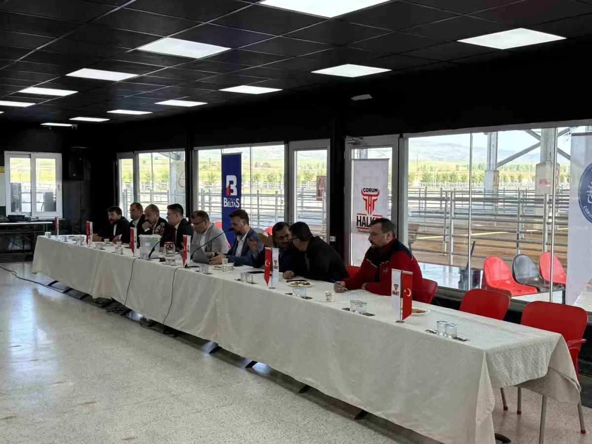 Çorum’da Kurban Bayramı İçin Hayvan Pazarı Kura Çekimi Yapıldı