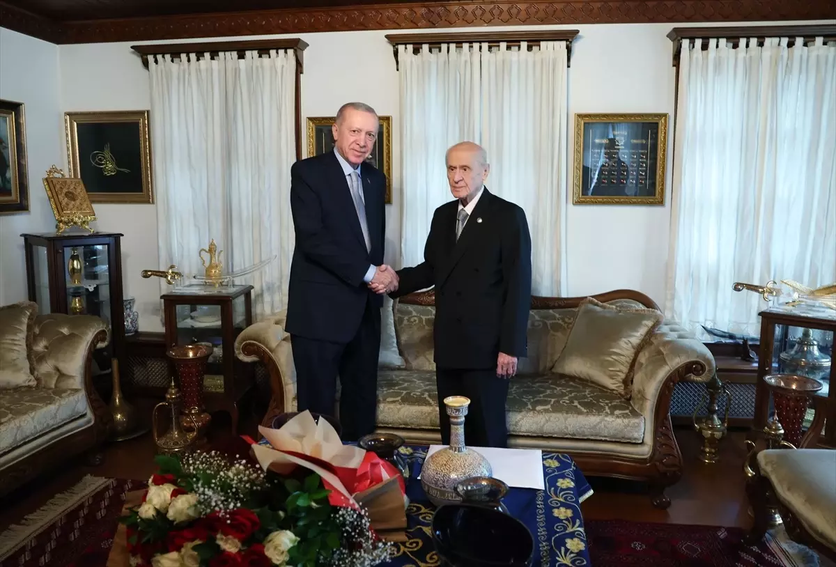 Cumhurbaşkanı Erdoğan, MHP Genel Başkanı Bahçeli ile görüştü