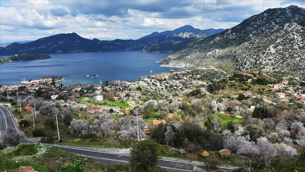 DMM, ‘Marmaris’te mesire alanı için yüzlerce çam kesildiği’ iddiasını yalanladı