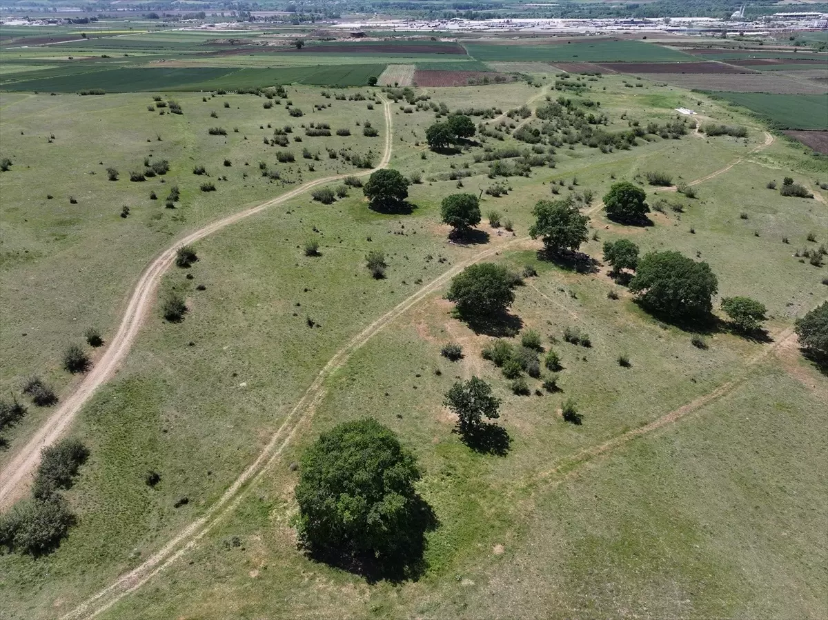 Edirne’de Meralara Sulama Sistemi