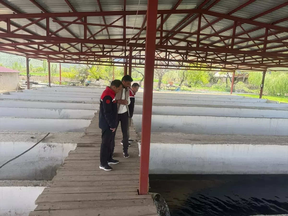 Erzincan’da Balık Yetiştiriciliği Gelişiyor