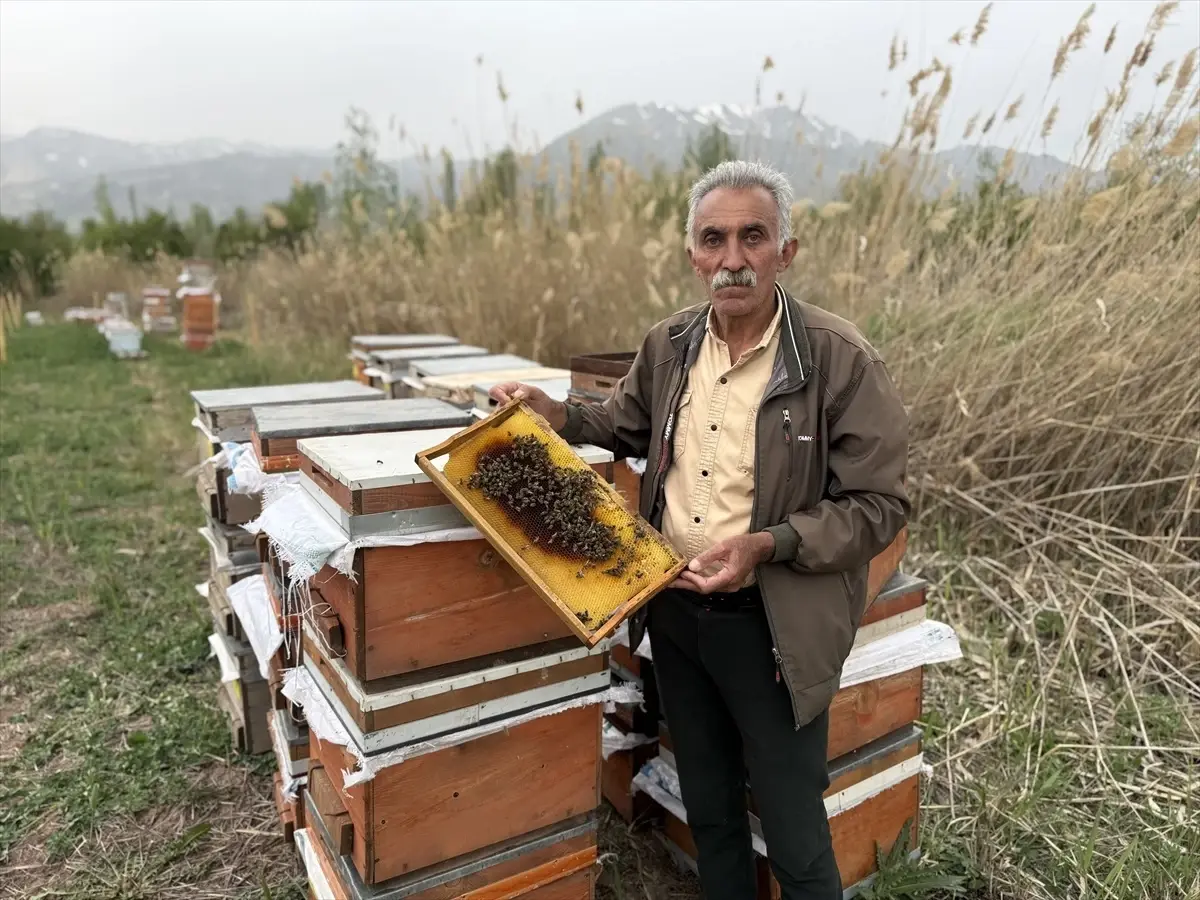 Erzincan’da Soğuk Hava Arıcılığı Olumsuz Etkiliyor