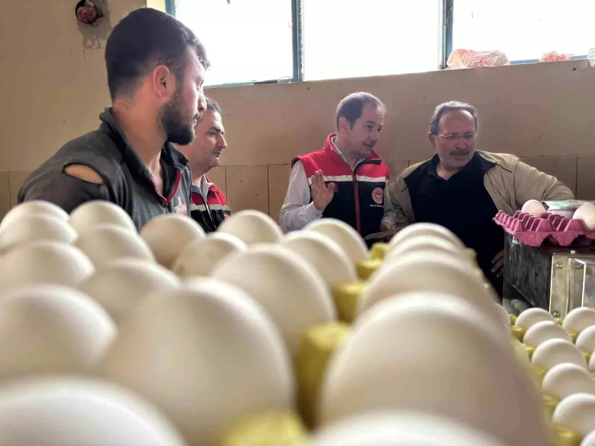 Erzincan’da Tavukçulukta Yeni Yatırımlar