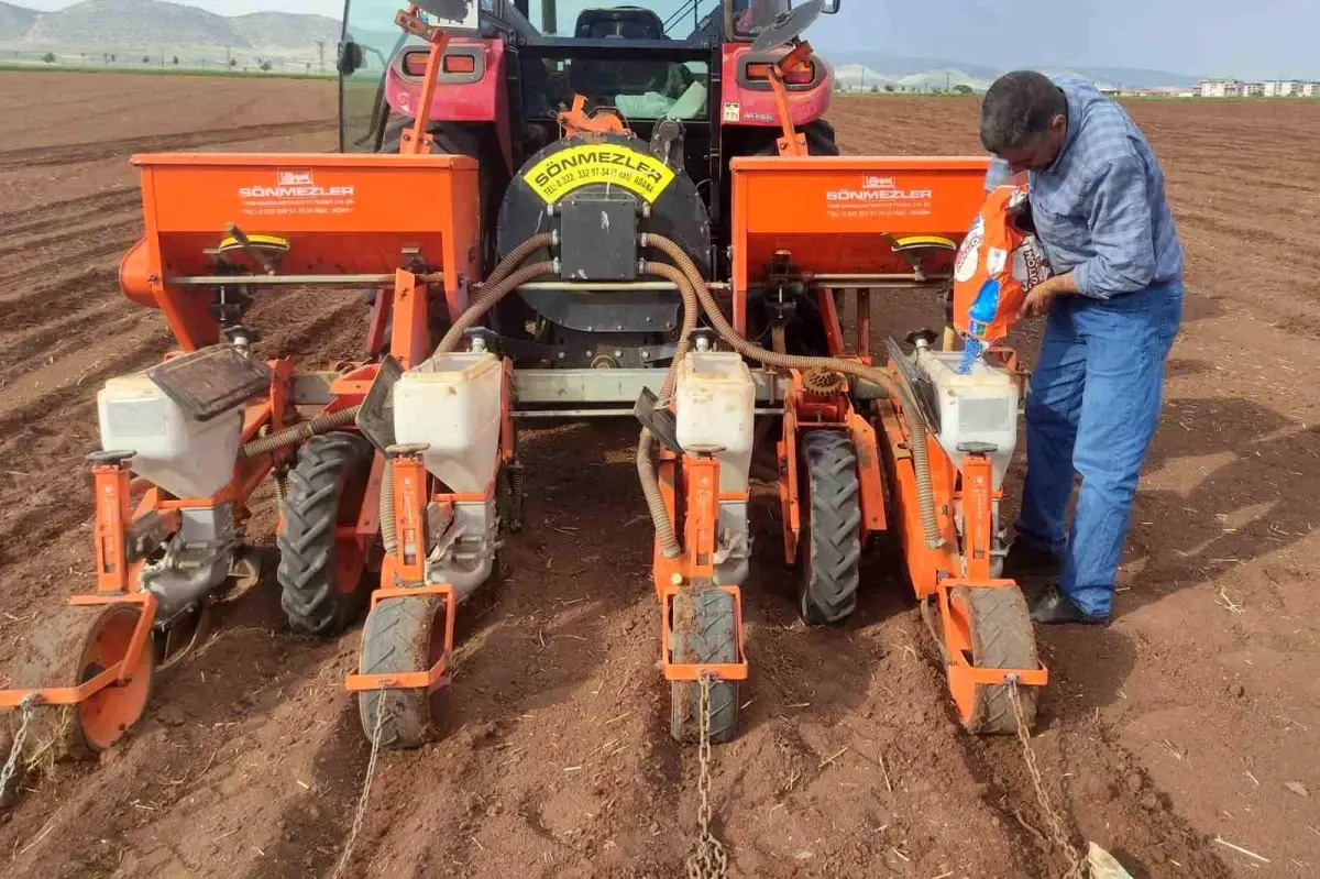 Gaziantep’te 2025 Pamuk Ekimine Başlandı