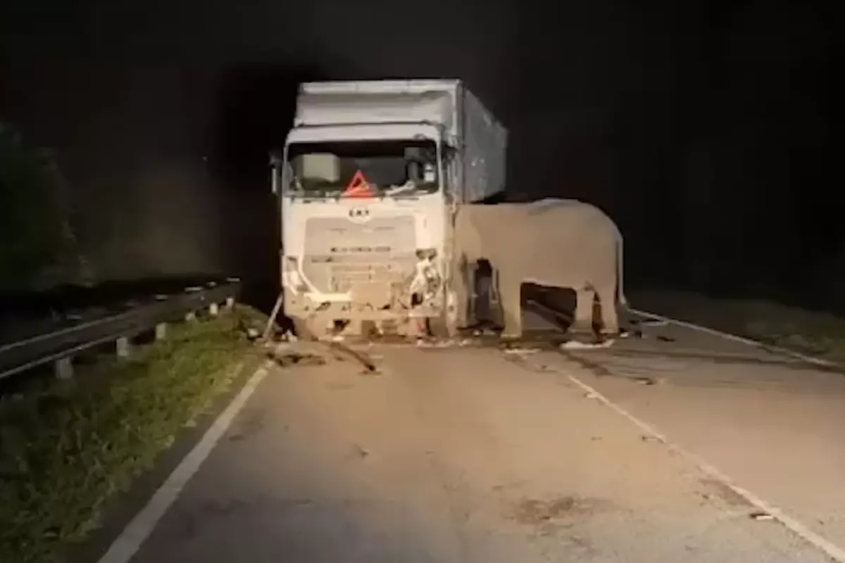 Gecenin karanlığında kahreden görüntü