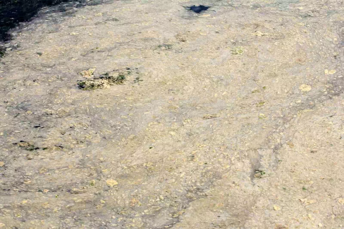 Gemlik’te Müsilaj Tehlikesi