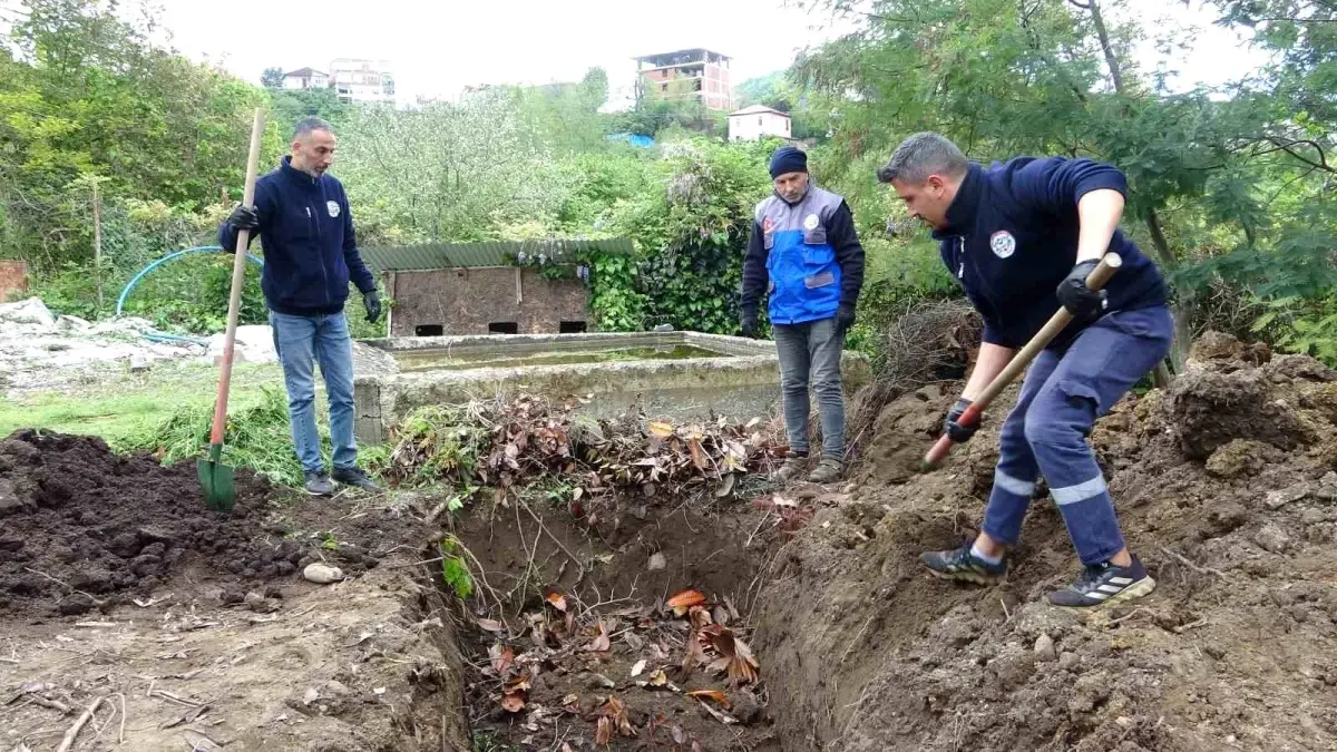 Giresun’da Balık Atıkları Çevre Dostu Projede Değerlendiriliyor