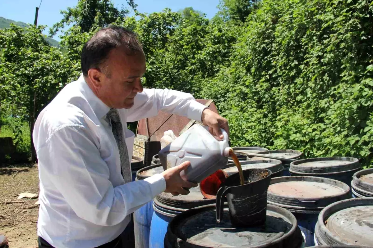 Giresun’da Balık Atıkları ile Tarım Gübresi Üretimi