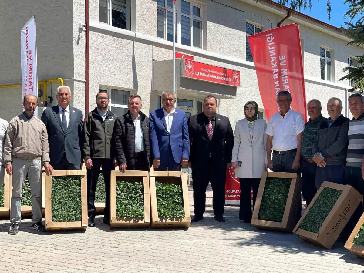 Gölpazarı’nda Fide Dağıtımıyla Tarıma Destek
