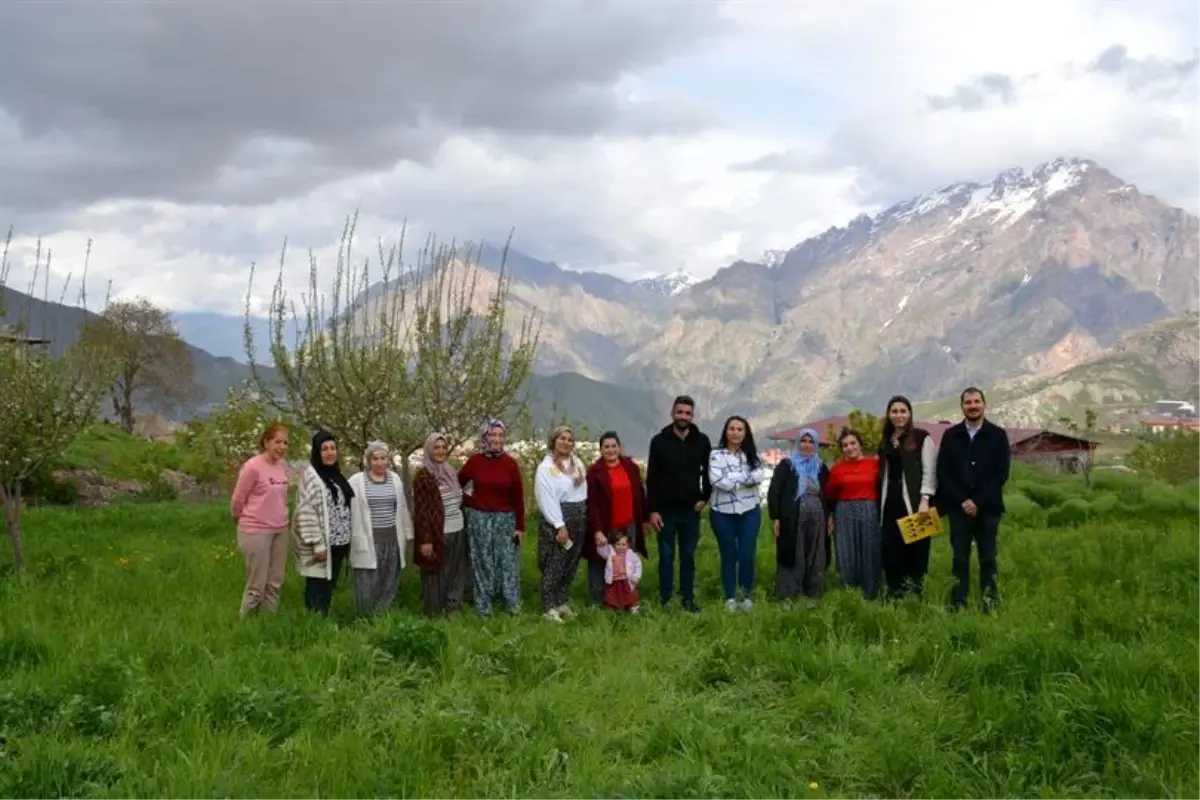 Hakkari’de Kadınlara Safran Eğitimi