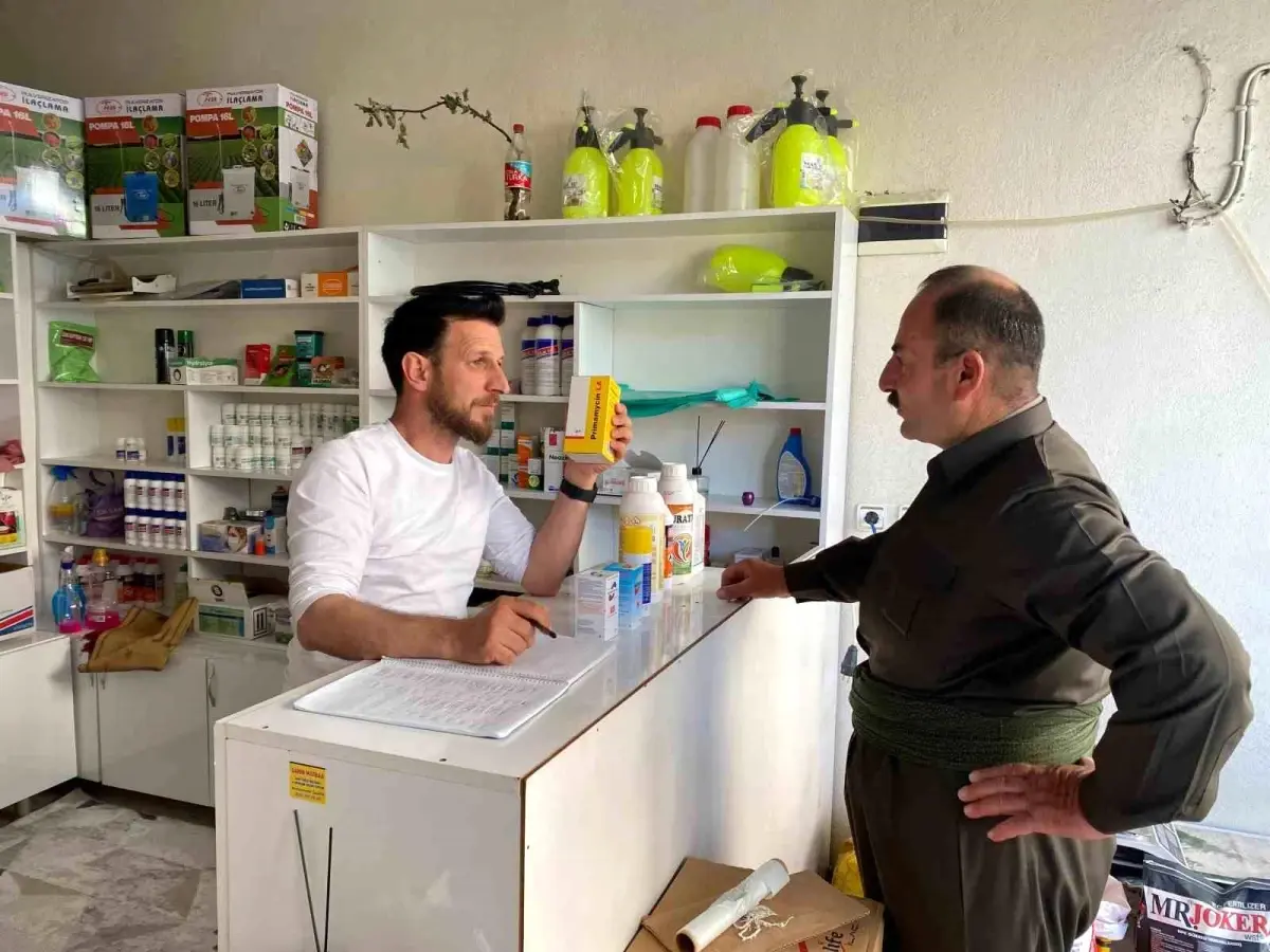 Hakkari’de Şap Hastalığına Karşı Tedbirler
