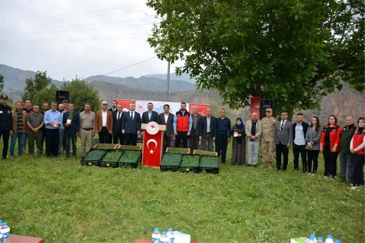 Hakkari’de Sebze Fideleri Dağıtımı