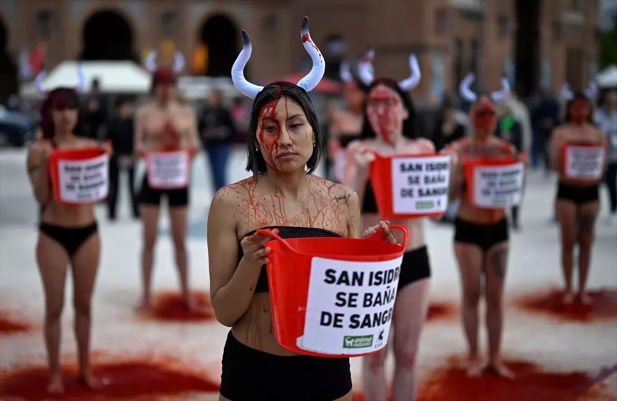 İspanya’da Boğa Güreşleri Protesto Edildi