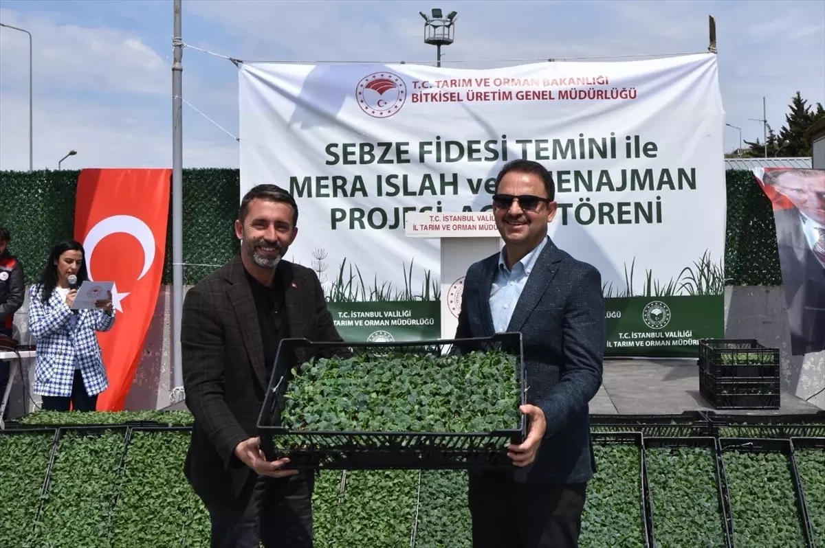 İstanbul’da 1 Milyon Fide Dağıtımı Yapılacak
