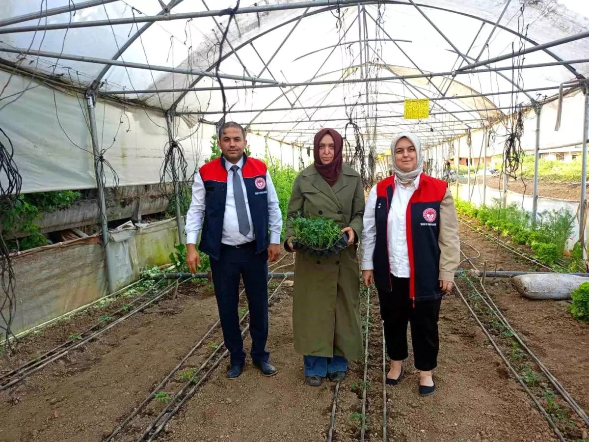 Kadın Üreticilerin Seralarına Ziyaret