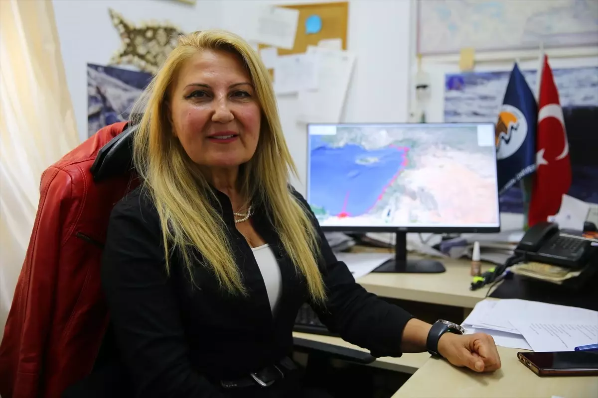 Kaplumbağaların Uzun Yolculuğu