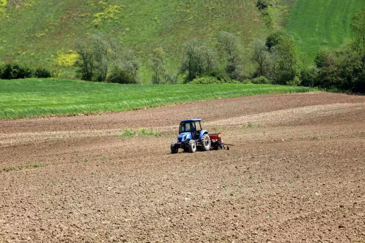 Kocaeli’de Çiftçilere Yüzde 50 Hibeli Mısır Tohumu ve Gübre Desteği