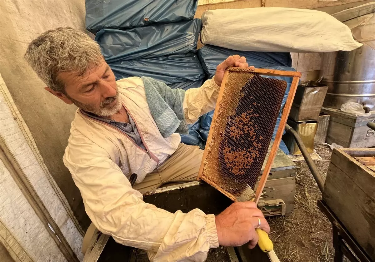 Kumluca’da Narenciye Balı Hasadı Başladı