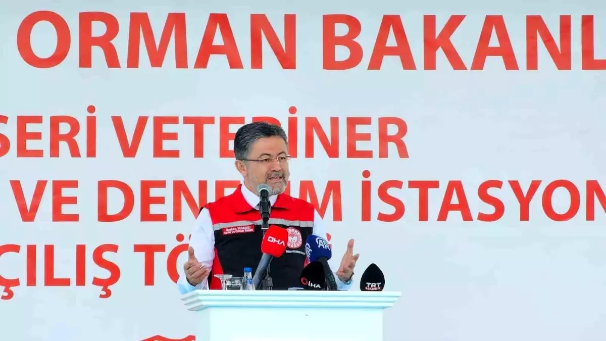 Kurban Bayramı’nda Yeterli Kurbanlık Hayvan