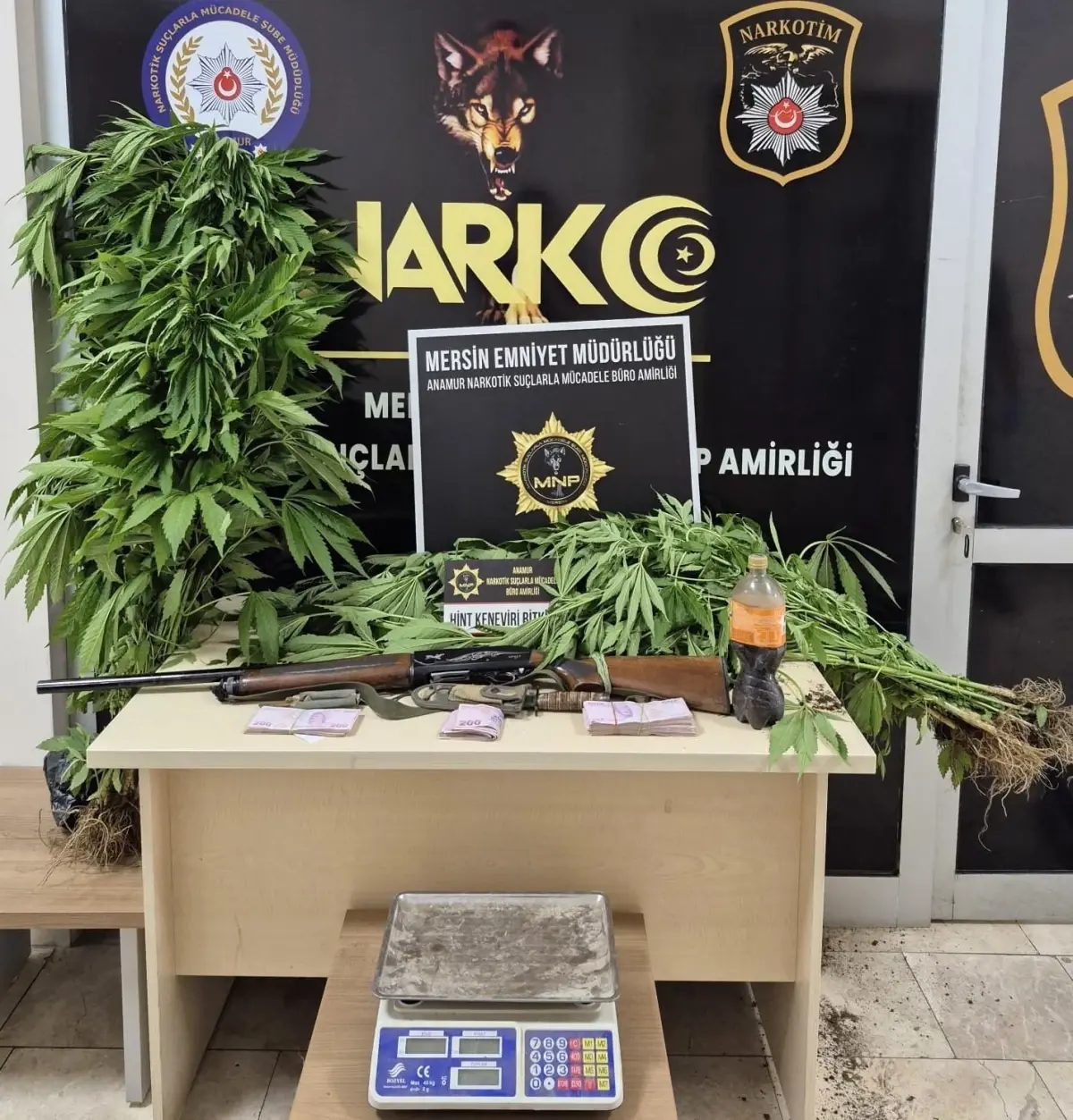 Mersin’de Hint Keneviri Yetiştiren Şüpheli Tutuklandı