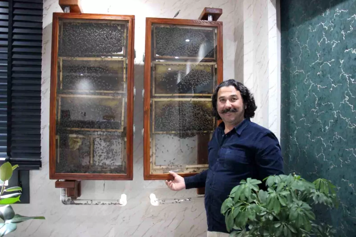 Ofisinde Arı Kovanı Kurdu