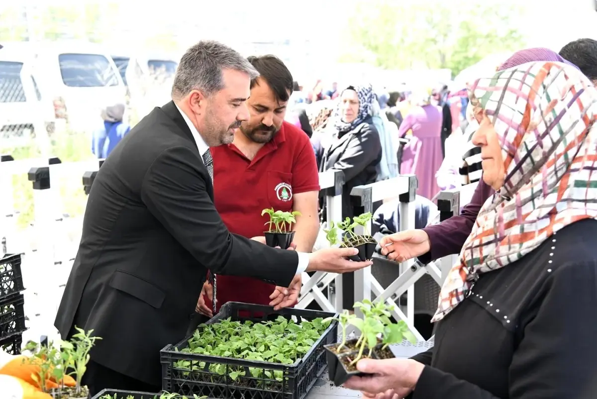 Pursaklar Belediyesi, 4. Geleneksel Ata Tohumu Fide Dağıtımını Gerçekleştirdi