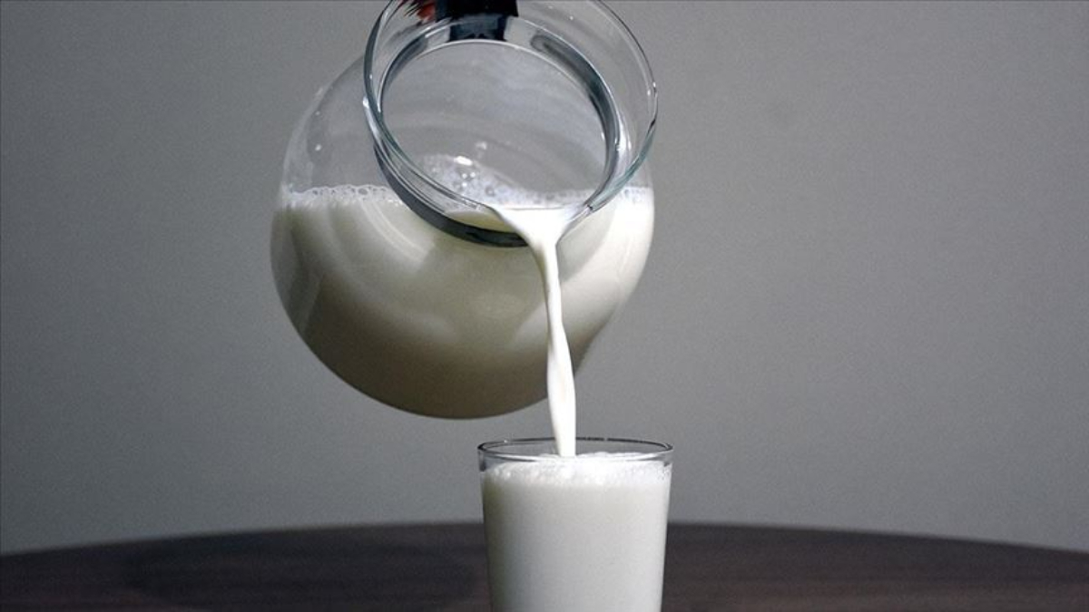 Rekabet Kurulu’ndan 56 süt şirketine soruşturma