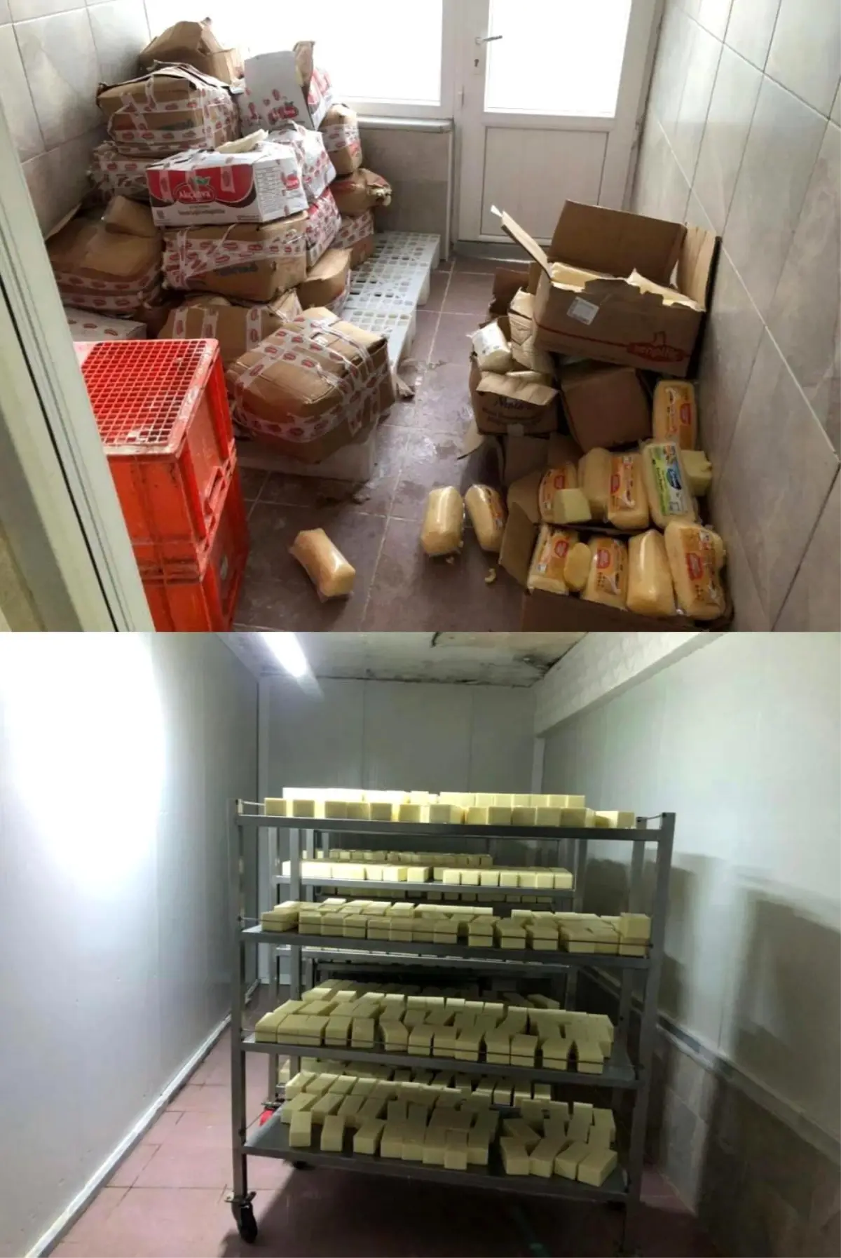 Sakarya’da 5 Ton Sahte Peynir Ele Geçirildi