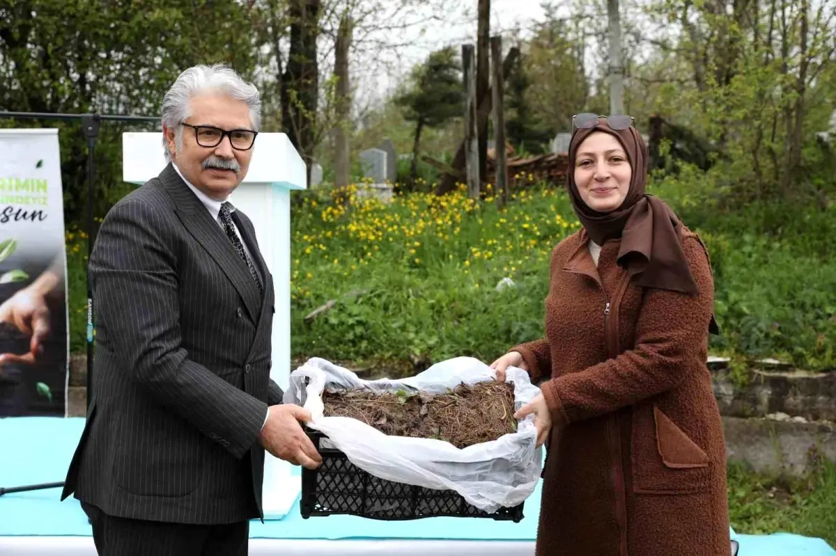 Samsun’da Çilek Üreticilerine 1.5 Milyon TL Destek